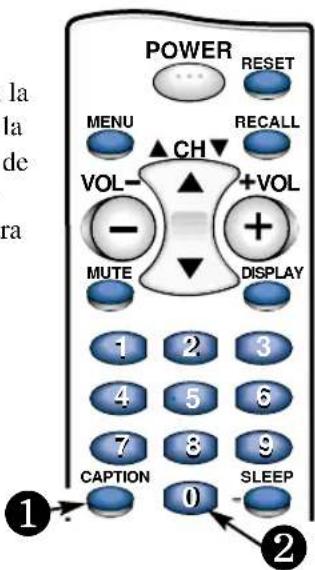 SANYO DS25390 - AJUSTANDO LA FUNCION DE CAPTION - 3