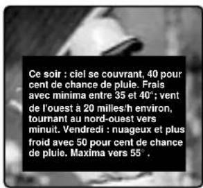 SANYO DS25390 - SOUS-TITRAGE INVISIBLE (CC) - 2