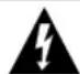 SANYO DS25390 - RIESGO DE TOQUE ELECTRICO NO ABRIR! - 1