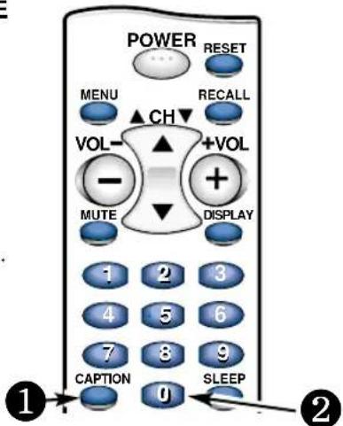 SANYO DS25390 - RéGLAGE DES SOUS-TITRES : - 1