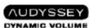 SANYO DP42841 - TRADEMARKS - 3