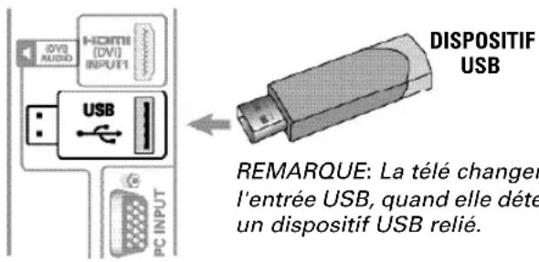 SANYO DP42841 - LECTEUR DES PHOTOS - 1