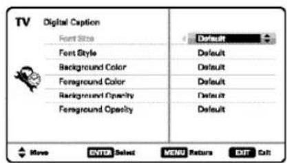 SANYO DP42841 - Digital Caption - 1