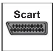 SEG Kansas - 2.1- Spécificités - 3