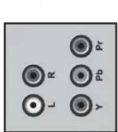 SEG Indiana - Externe Geräte über YPbPr-Verbindung anschließen - 1