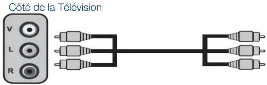 SEG Indiana - 9.3- Branchement d'un apparéil externe par la prise AV - 1