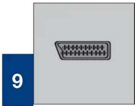 SEG Indiana - 9.2- Connessione di un dispositivo esterno attraverso connessione Scart - 1