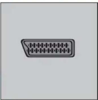 SEG Indiana - Externe Geräte über Scart anschließen - 2