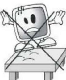 SEG Dublin - Importantiistruzioni per la sicurezza - 11