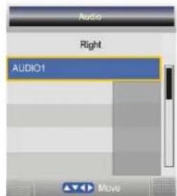 SEG Dublin - Multi-Audio - 1