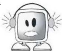 SEG Dublin - Importantiistruzioni per la sicurezza - 9