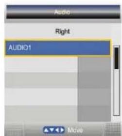 SEG Dublin - Multi-audio - 1