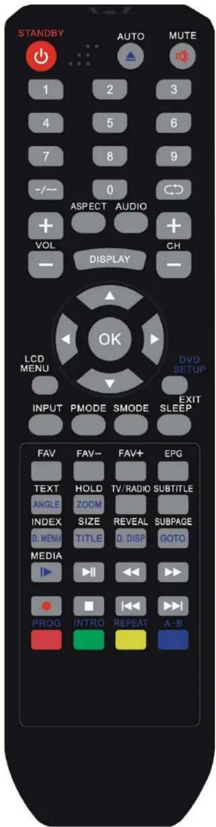 SEG Dublin - Télécommande - 2