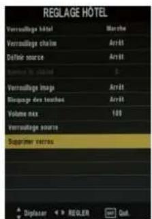 SEG ArtColor - Annul verr - 1