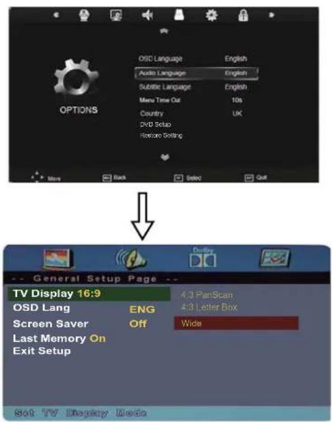 SEG ArtColor - Enter the DVD Setup menu - 1