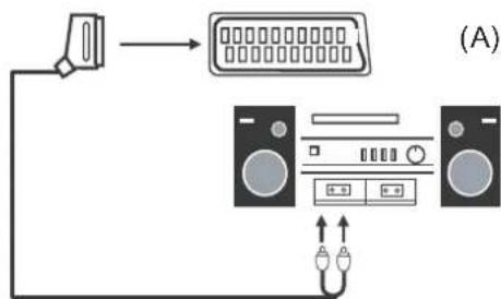 SEG ArtColor - Connexion à un système audio - 1