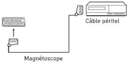 SEG ArtColor - Connexion à un ordinateur - 1