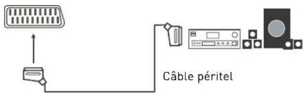 SEG ArtColor - Connexion à un système audio - 2