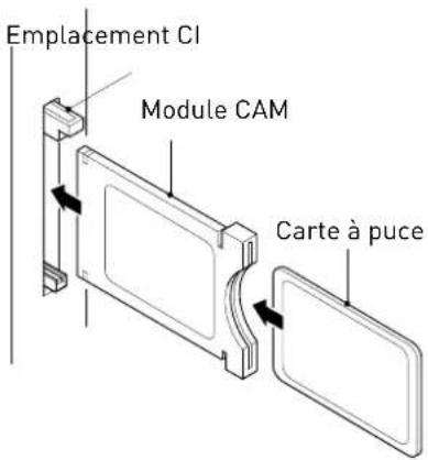 SEG ArtColor - Common Interface - 1