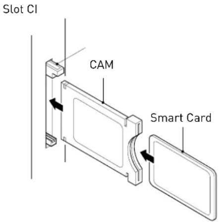 SEG ArtColor - Collegamento del lettore DVD - 2
