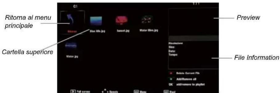 SEG ArtColor - Funzionamento base - 3