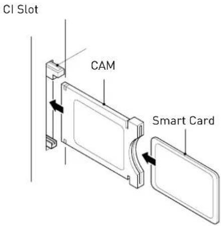 SEG ArtColor - Common Interface - 1