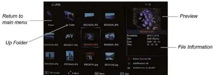 SEG ArtColor - Basic Operation - 3