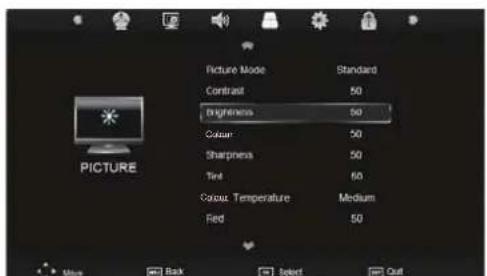 SEG ArtColor - CI Information - 1