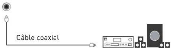 SEG ArtColor - Connexion à un système audio - 3