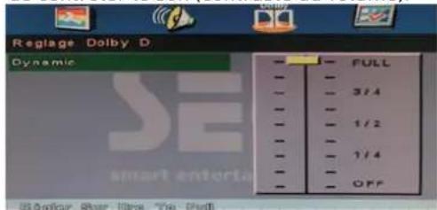 SEG ArtColor - Dynamic - 1