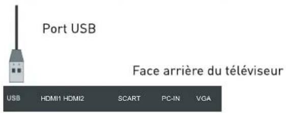 SEG Arcos - Connexion USB - 1