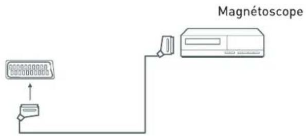 SEG Arcos - Remarque: - 1