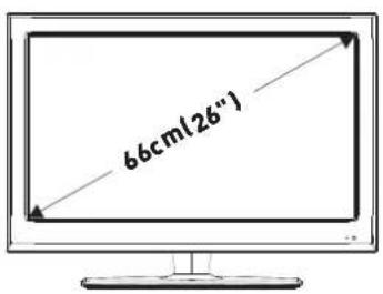 SEG Arcos - Appareil et accessoires - 1