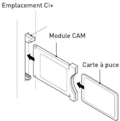 SEG Arcos - Common Interface - 1