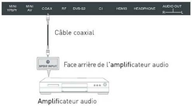 SEG Arcos - Utilisation de la sortie audio numérique coaxiale - 1