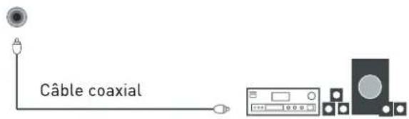 SEG Arcos - Connexion à un système audio - 3