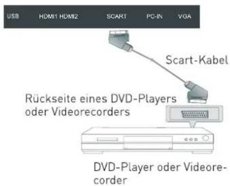 SEG Arcos - SCART-Anschluss - 1