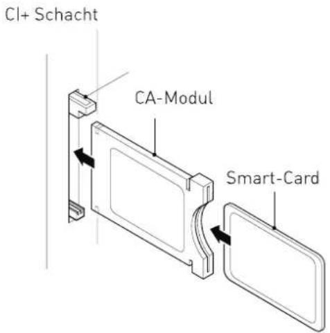 SEG Arcos - Common-Interface - 1