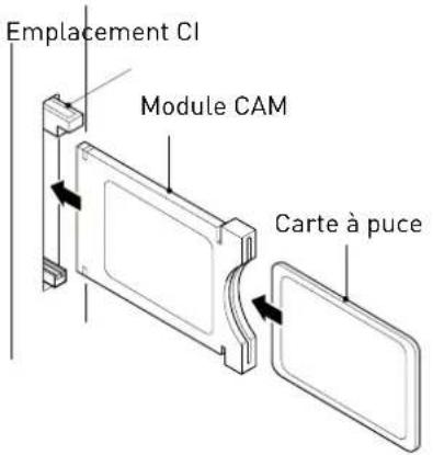 SEG Nagano - Common Interface - 1