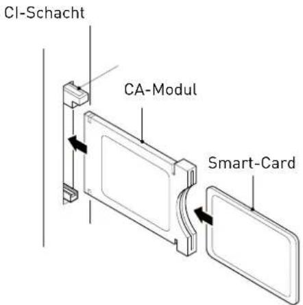 SEG Nagano - Common-Interface - 1