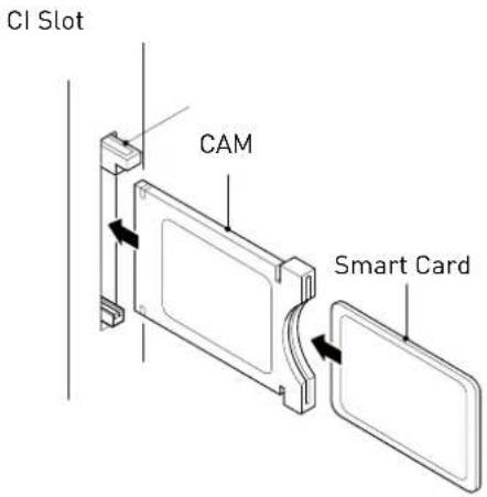 SEG Nagano - USING YOUR COMMON INTERFACE SLOT Common Interface - 1