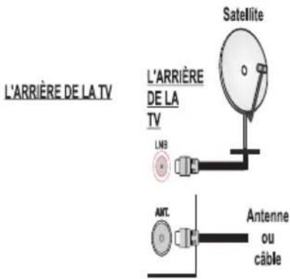 NIKKEI NLD22MBK - Branchement de l'antenne - 1