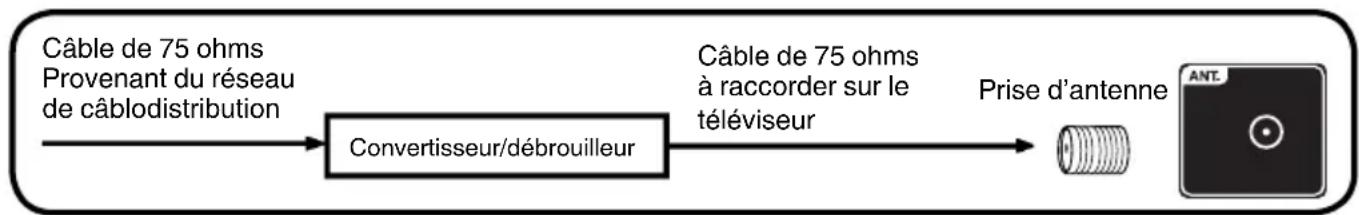 SANSUI SLED2228 - Raccordement au réseau de câblodistribution - 2