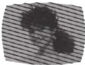 SANSUI SLED2228 - RADIO FREQUENCY INTERFERENCE (RFI) - 1