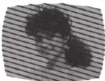 SANSUI SLED2228 - BROUILLAGE RADIOÉLECTRIQUE - 1