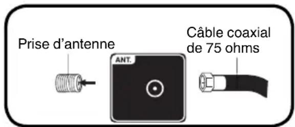 SANSUI SLED2228 - Raccordement au réseau de câblodistribution - 1