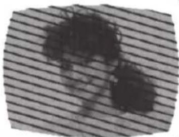 SANSUI SLED2280 - RADIO FREQUENCY INTERFERENCE (RFI) - 1