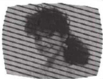 SANSUI SLED2280 - Brouillage radioélectrique - 1