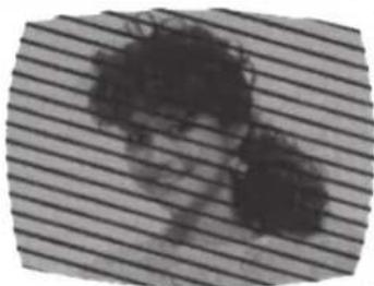 SANSUI HDLCDVD199 - ALLUMAGE - 4