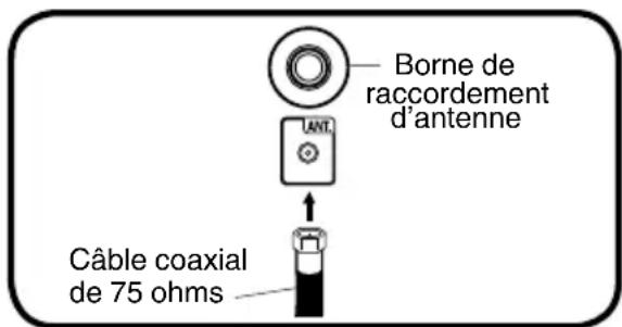 Borne de raccordement d'antenne Câble coaxial de 75 ohms